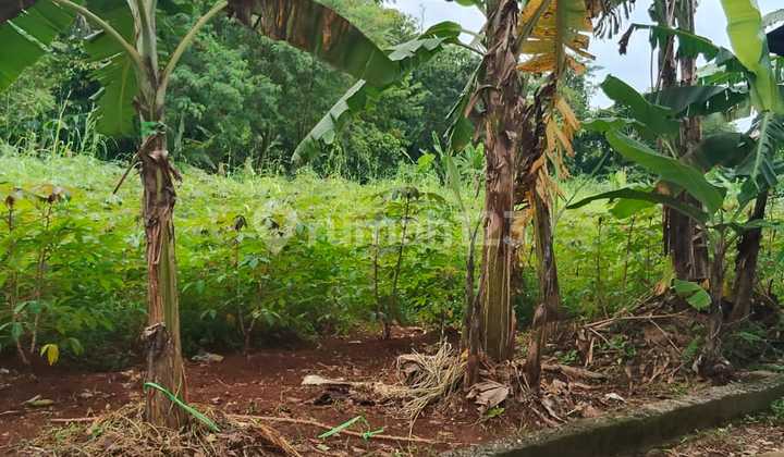 Tanah Siap Bangun di Bogor Tanah Siap Bangun di Bogor