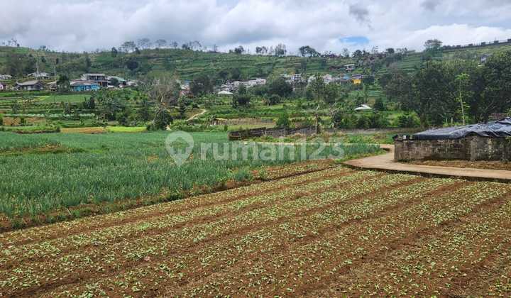 Plot 1.55 Ha in Cipanas, West Java