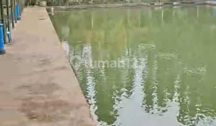 Tanah dan Bangunan 9.200 m2 di Cijeruk, Bogor - Ada kolam mancing! Tanah dan Bangunan 9.200 m2 di Cijeruk, Bogor - Ada kolam mancing!