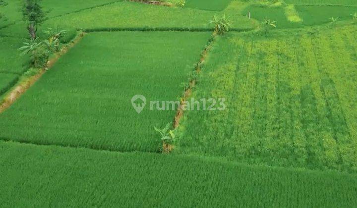 1.5 Juta per Meter, Luas Tanah 14 Ha, Tanah di Cikande, Tangerang 1