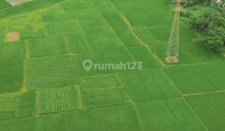 1.5 Juta per Meter, Luas Tanah 14 Ha, Tanah di Cikande, Tangerang 2