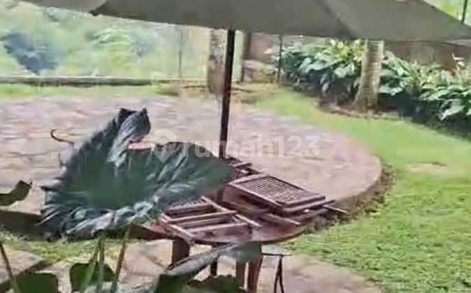 Tanah dan Bangunan di Cijeruk, Bogor - Ada Pohon Buah! Tanah dan Bangunan di Cijeruk, Bogor - Ada Pohon Buah!