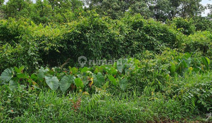 Tanah 2ha di Jl arteri supadio kubu raya pontianak kalbar