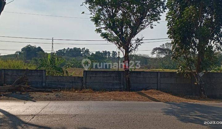 Tanah di Karawang timur klari 16ha SHM super murah strategis  1