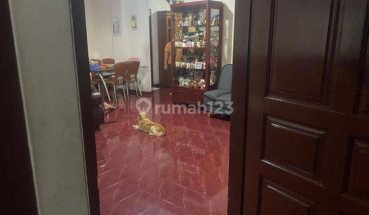 Rumah Tua Hitung Tanah Cempaka Putih Harga Bawah Njop Jakpus 2