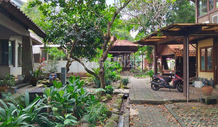 Tanah di Karawaci Dekat UPH Cocok Untuk Usaha Kost Resto Cafe  1