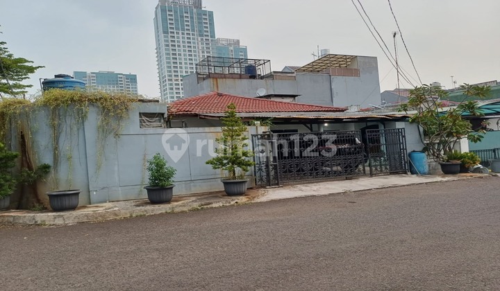 Rare Green Coconut Frond Pandava Corner House Big Road 2