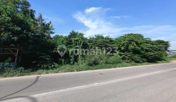 Tanah Karawang Timur Depan Gudang Alfa Lokasi Bagus Jalanan Besar