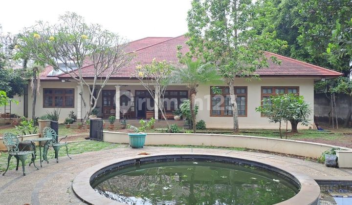 Rumah Asri Ada Kolam Renang Jagakarsa Rumah Asri Ada Kolam Renang Jagakarsa