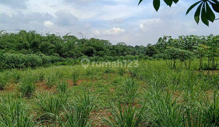 Kavling Industri Sukamulya Purwadadi subang Jawa Barat 4.8 ha 5
