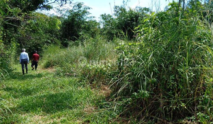 Kavling Industri Sukamulya Purwadadi subang Jawa Barat 4.8 ha 10