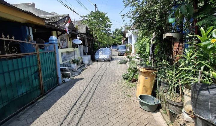 Rumah Murah Dekat Gading Serpong di Dasana Indah
