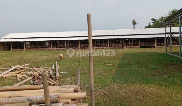 Tanah di jual ( kandang bebek ) 1