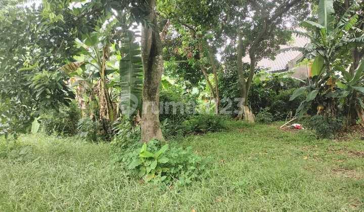 Tanah Luas Bebas Banjir Dekat Ke Tol Jatiwarna Bekasi Tanah Luas Bebas Banjir Dekat Ke Tol Jatiwarna Bekasi