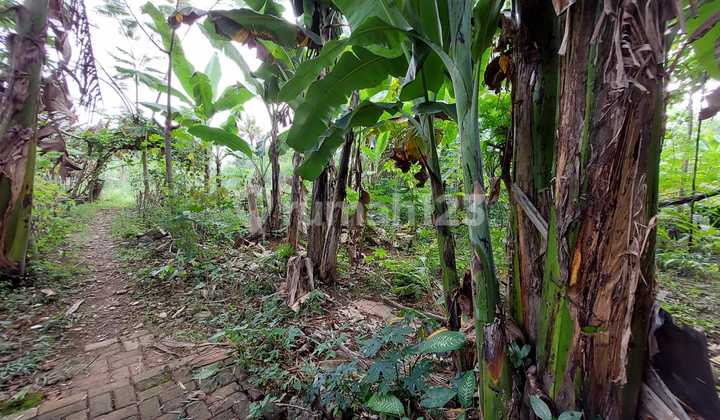 Dijual BU TANAH DATAR di bawah harga Pasar di kawasan Elite Perum Raffles Hills Lokasi Terdepan di Cibubur 10