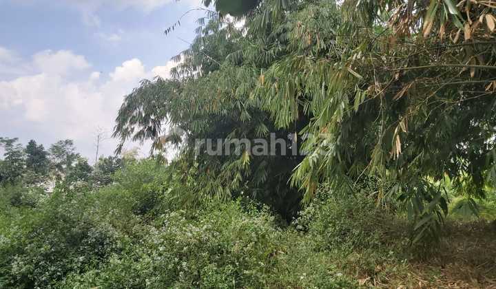 Dijual Tanah Jatisari Mijen  2