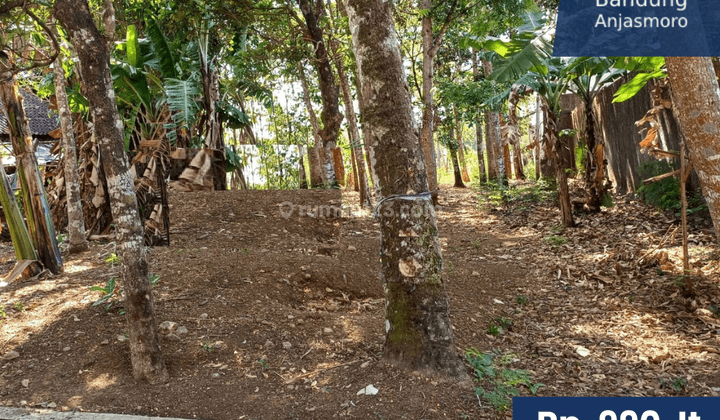 Dijual Tanah Bulu Sari Salatiga  1