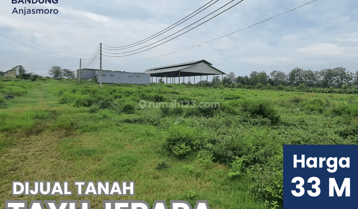 Dijual Tanah Luas 39.430 M Tayu Pati Jepara 1