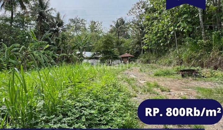 Dijual Tanah Pringsari Pringapus Ungaran Kab Semarang 1