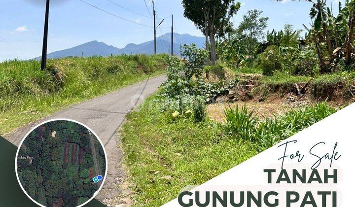 Dijual Tanah 1 Ha Gunung Pati Semarang 1