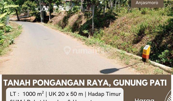 Dijual Tanah Siap Bangun Pongangan Raya Gunung Pati Semarang 1