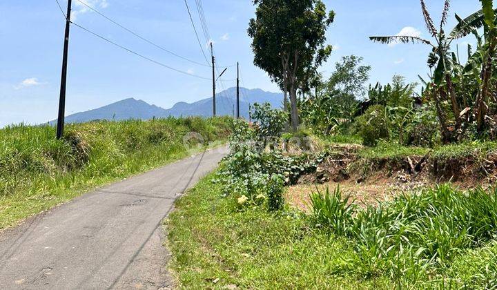 Dijual Tanah 1 Ha Gunung Pati Semarang 2