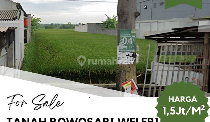 Dijual Tanah Sawah Pinggri Jalan Rowosari Weleri Kendal  1