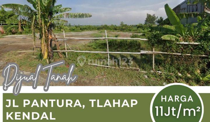 Dijual Tanah Pinggi Jalan Raya Pantura Tlahap Kendal 1