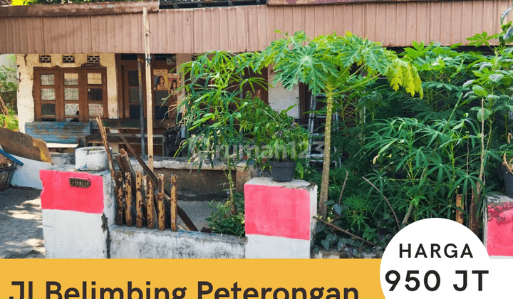 Dijual Rumah Hitung Tanah Jl Belimbing Peterongan Semarang Selatan 1