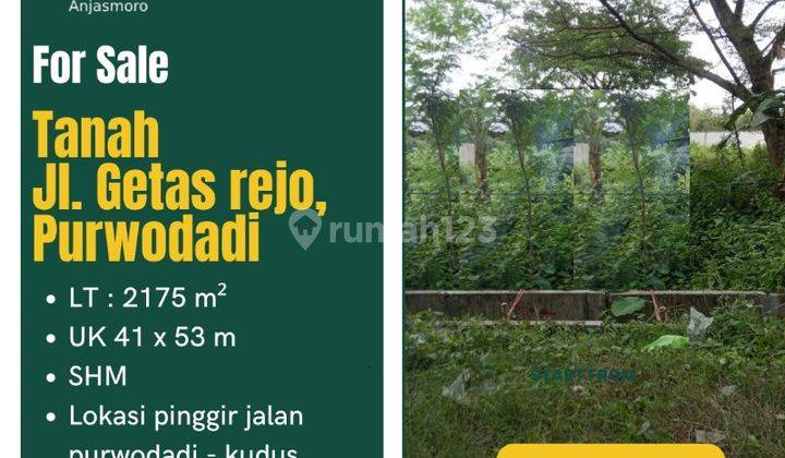 DIJUAL TANAH LUAS SHM JL GETAS REJO PURWODADI GROBOGAN 1