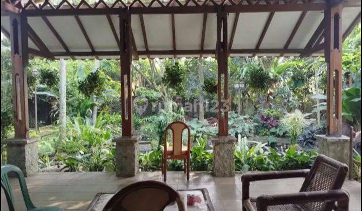 Rumah Asri View Pegunungan Di Jual Di Bogor 1