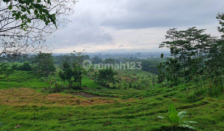 Tanah murah udara sejuk 10