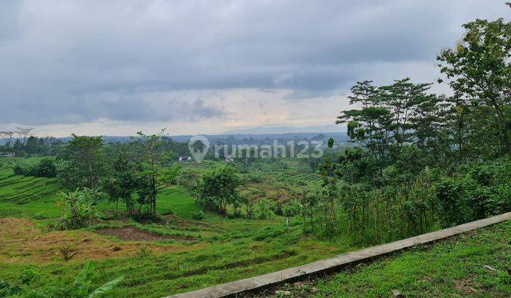 Tanah murah udara sejuk 12