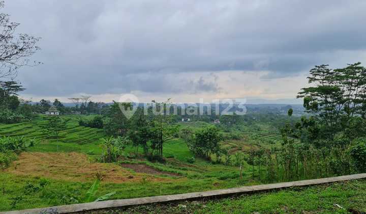 Tanah murah udara sejuk 11