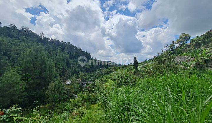 Tanah pekarangan istimewa 3