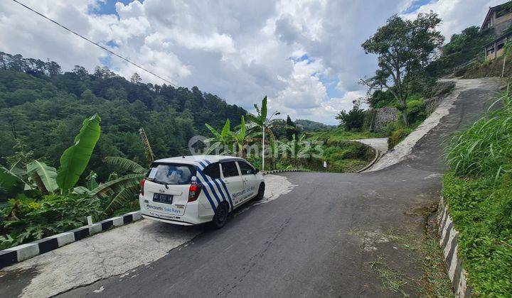 Tanah pekarangan istimewa 5