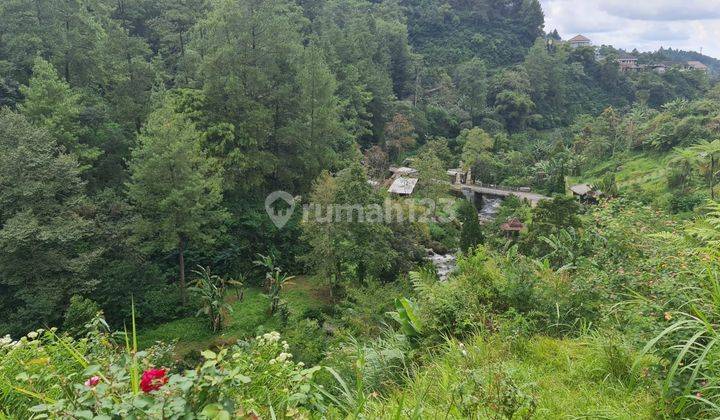 Tanah pekarangan istimewa 8