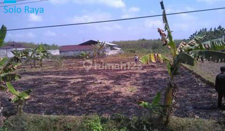 Tanah pekarangan strategis pinggir jalan provinsi Solo Purwodadi 2