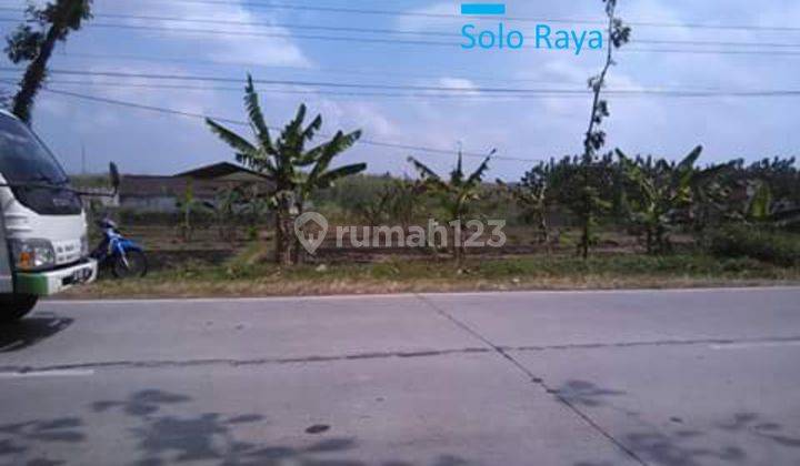 Tanah pekarangan strategis pinggir jalan provinsi Solo Purwodadi 1