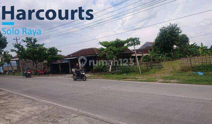 Tanah sawah zona kuning pinggir jalan raya provinsi  2