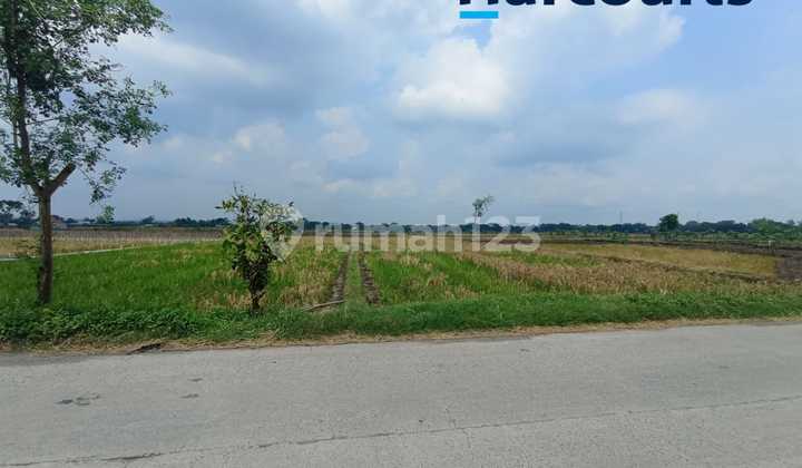 Strategic Red Zone Land with Flat Contour Suitable for Warehouse / Factory Construction in Mojopuro, Sumberlawang, Sragen Strategic Red Zone Land with Flat Contour Suitable for Warehouse / Factory Construction in Mojopuro, Sumberlawang, Sragen
