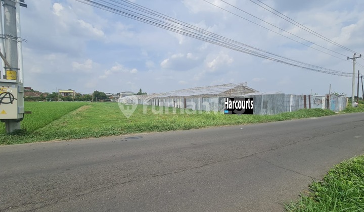 Tanah Pekarangan Strategis 1