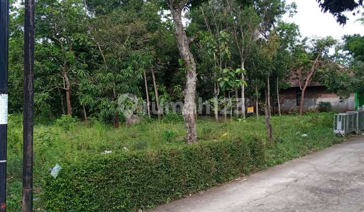 Tanah Pekarangan Hook Strategis