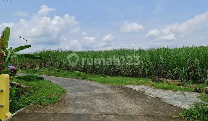 Ini Baru Murah !!Tanah Luas dengan Pemandangan Indah dan Udara Bersih di Bangsri Karangpandan