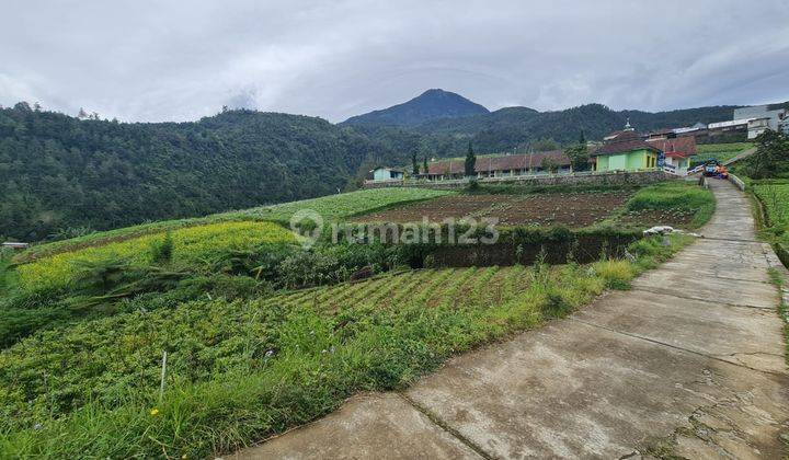 Tanah Pekarangan Siap Bangun Villa 2