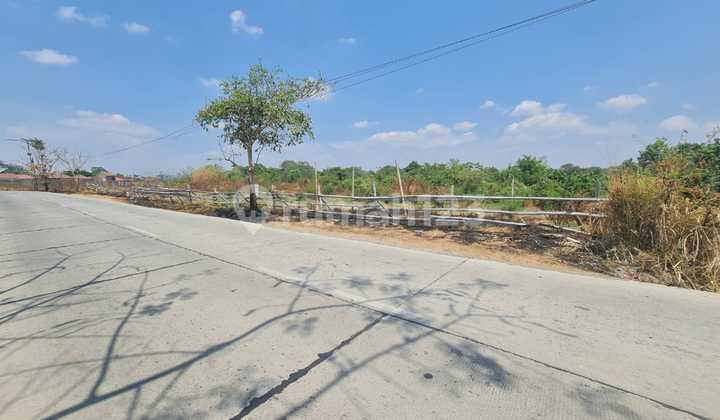 Special Land for Industry in the Red Zone