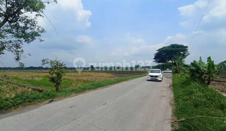 Strategic Red Zone Land with Flat Contour Suitable for Warehouse / Factory Construction in Mojopuro, Sumberlawang, Sragen Strategic Red Zone Land with Flat Contour Suitable for Warehouse / Factory Construction in Mojopuro, Sumberlawang, Sragen