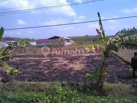 Ready-to-Build Land on the Side of the Solo - Purwodadi Main Road, Sragen, Solo
