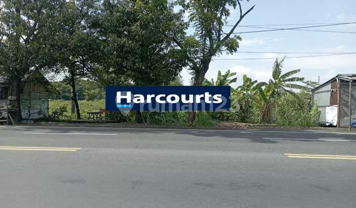 Tanah Pekarangan Sangat Strategis di Jalan Raya Adi Sucipto Colomadu Solo