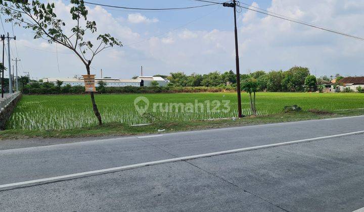 Tanah Zona Merah Untuk Industri Di Jalan Raya Solo Sukoharjo 1